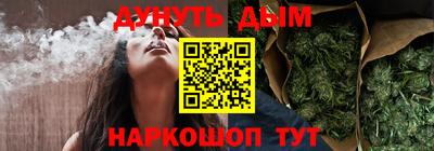 гидра Будённовск