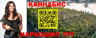 прущие крисы Абакан