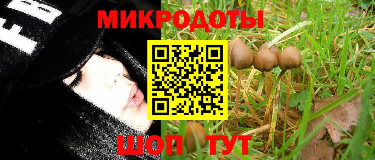 Жигулёвск  Галлюциногенные грибы GOLDEN TEACHER  Вход с VPN 