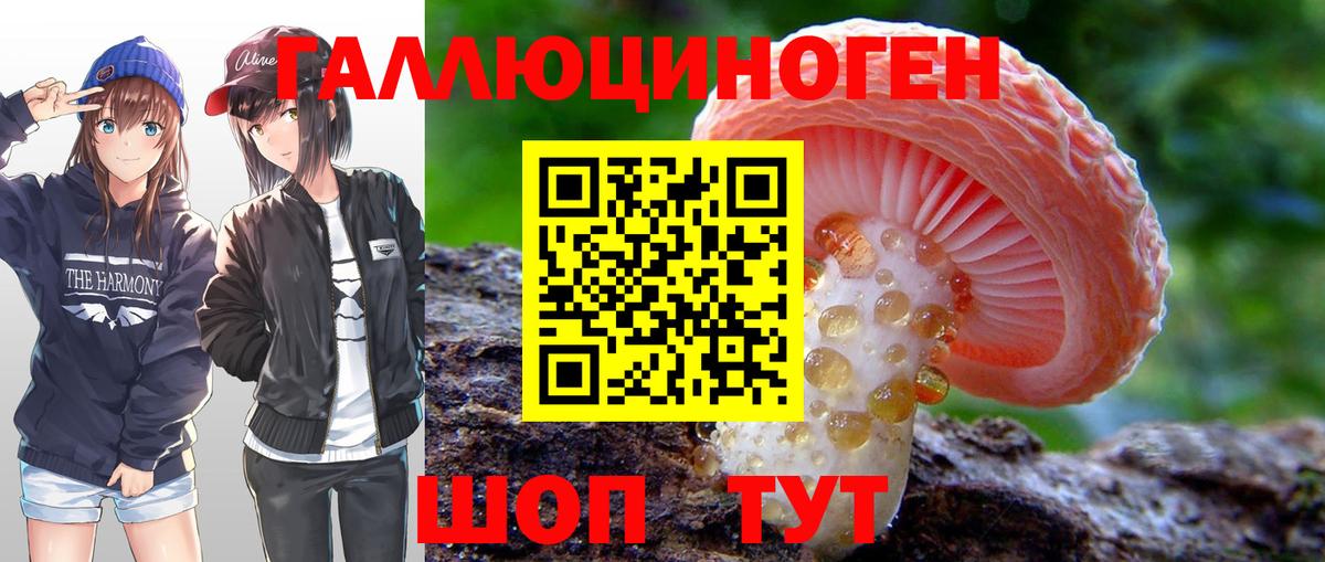Псилоцибиновые грибы Psilocybe Жигулёвск