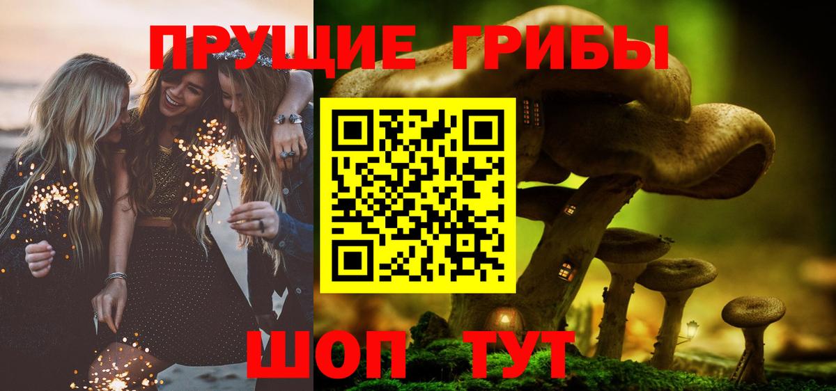 Псилоцибиновые грибы Psilocybe Жигулёвск